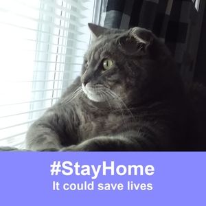 Meet your Posher, Debra